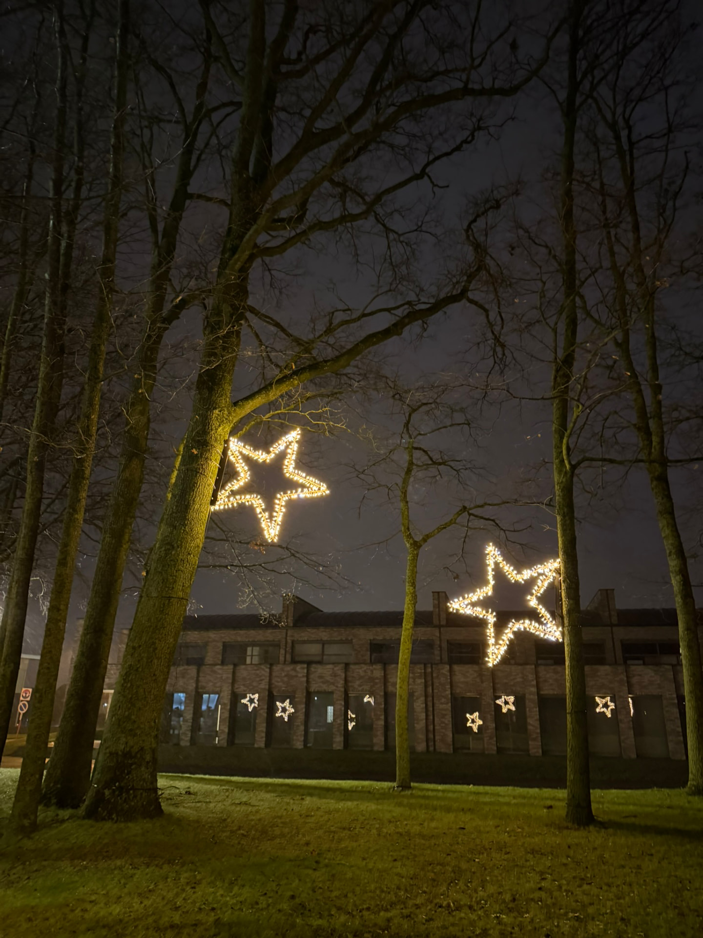 Grote kerststerren tussen bomen bij nacht