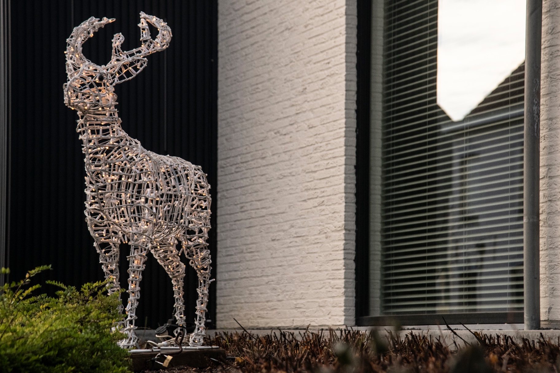 Groot verlicht rendier in draadwerk bij schemer