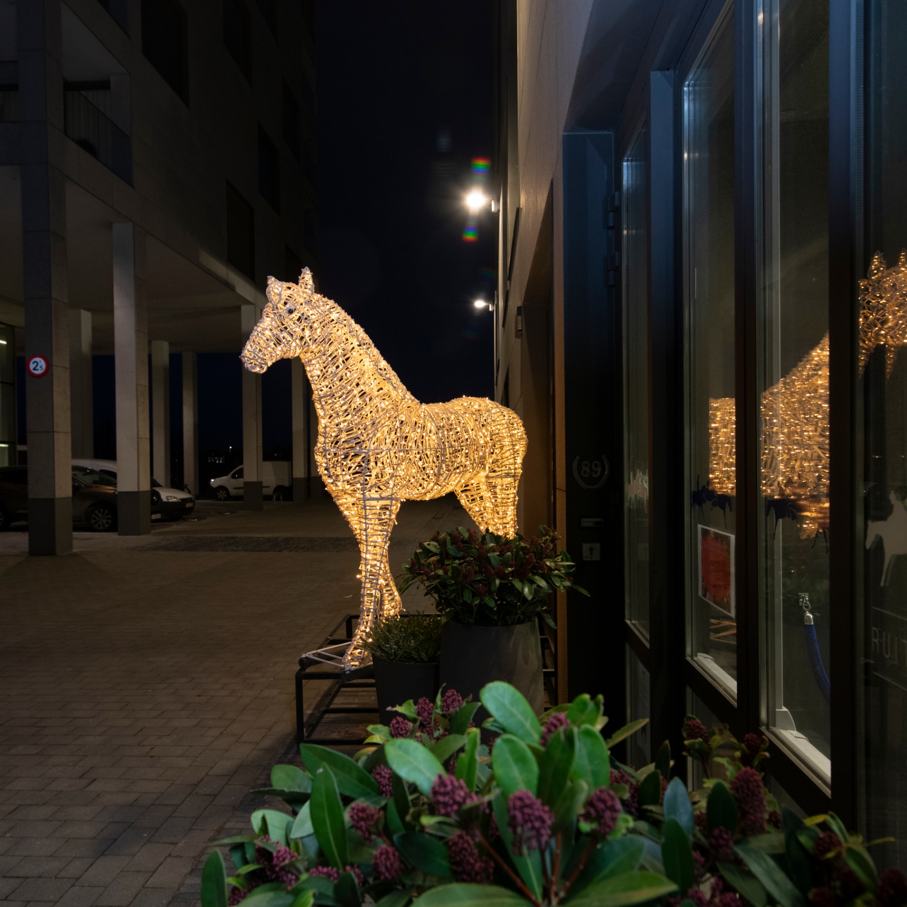 Levensgroot verlicht paard aan een winkelingang bij nacht