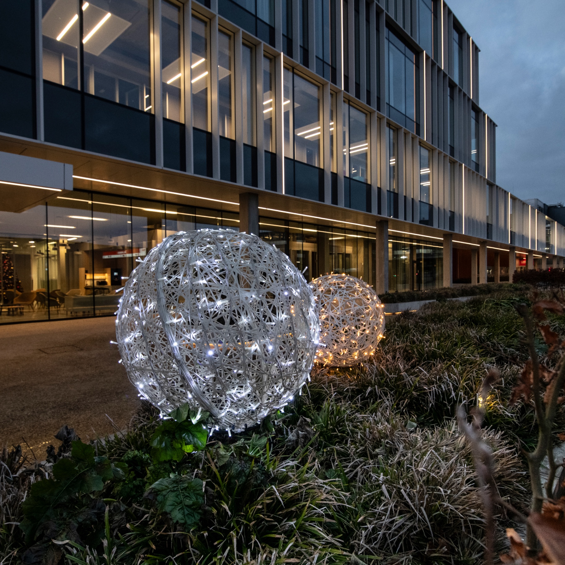 Kerstballen in een aangelegd bed bij een modern kantoor
