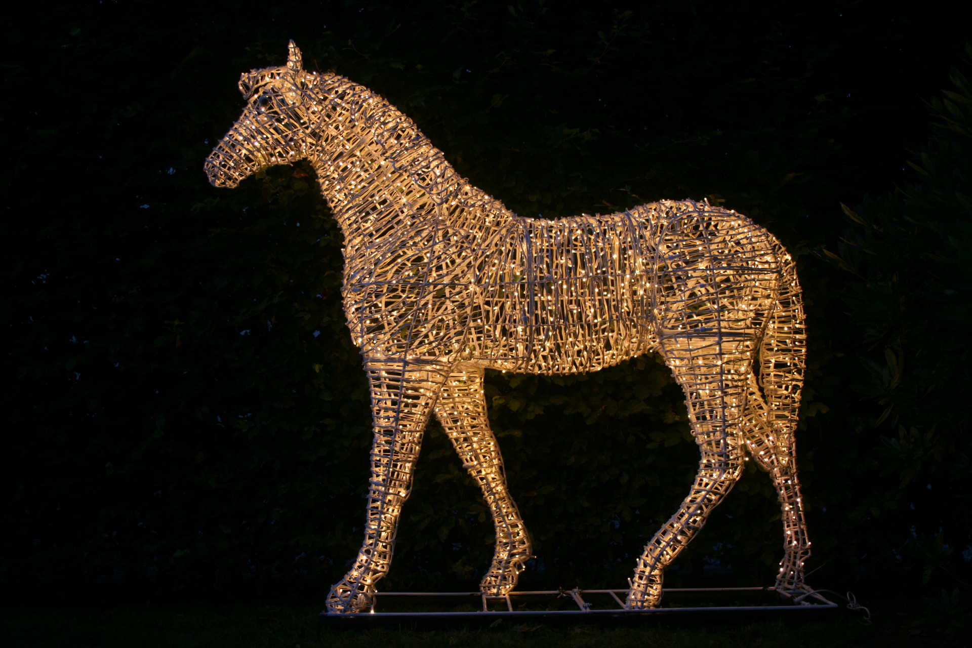 Levensgroot verlicht paard tegen een donkere achtergrond